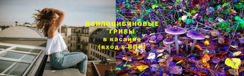 Галлюциногенные грибы Magic Shrooms  магазин  наркотиков  Кадников 